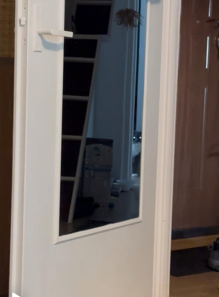 Cat in the mirror with glowy eyes